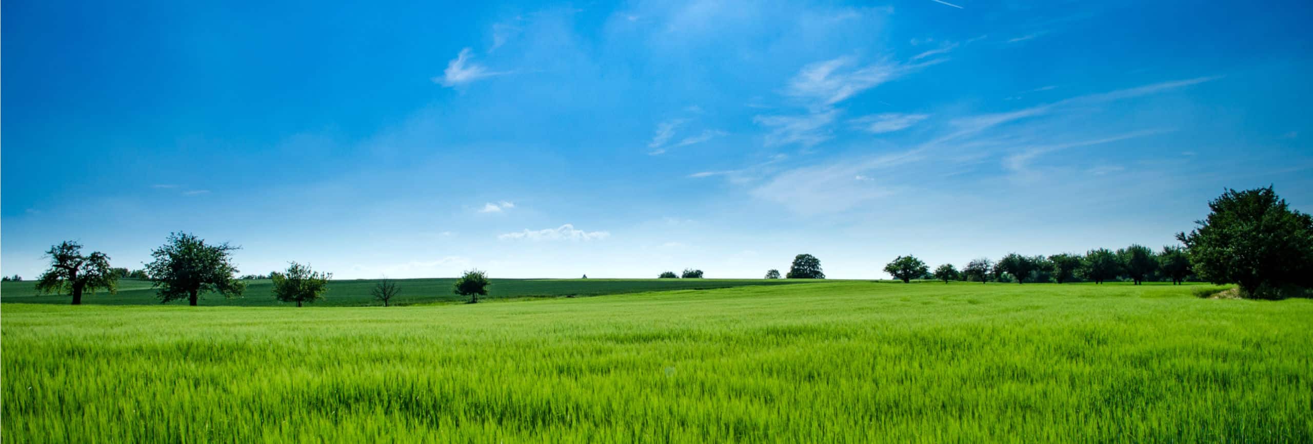 isr-haan-umwelt-und-landschaftsplanung isr-haan-umwelt-und-landschaftsplanung